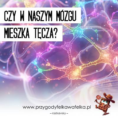 Czy w naszym mózgu mieszka tęcza? 🧠 nauka dla dzieci | Słodka Nauka (SNF_017)