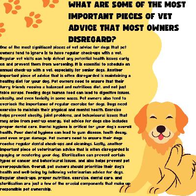 Army Dogs For Adoption | VOSD