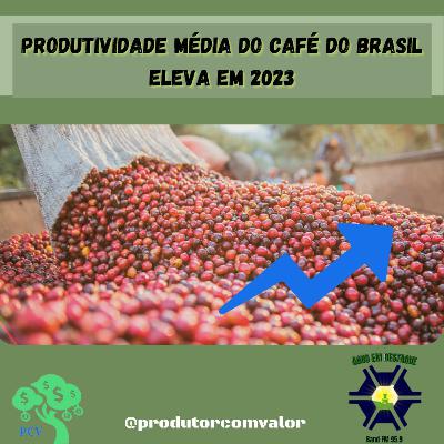 Produtividade média do café do Brasil eleva em 2023 Produtividade média do café do Brasil eleva em 2023