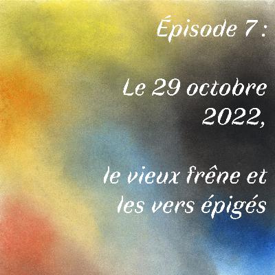 Épisode 7 :  Le 29 octobre 2022, le vieux frêne et les vers épigés