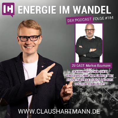 Schwarmspeicher statt Großspeicher: Wie Aurivolt mit dezentralen Batterien das Netz bis 2030 stabilisiert Schwarmspeicher statt Großspeicher: Wie Aurivolt mit dezentralen Batterien das Netz bis 2030 stabilisiert