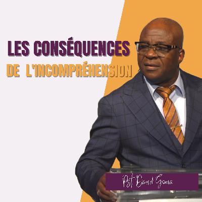 Les conséquences de l'incompréhension