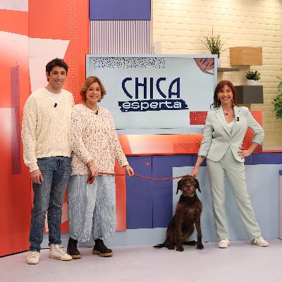 "Os cães vivem o presente. A não ser que tenham tido uma experiência muito traumática, eles estão disponíveis para aprender" "Os cães vivem o presente. A não ser que tenham tido uma experiência muito traumática, eles estão disponíveis para aprender"