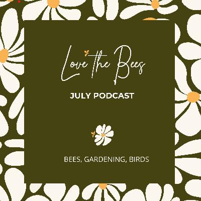 Full July Episode with Colm, Dermot, Adrienne, Eric and Prof Grace McCormack