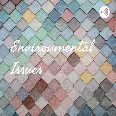 Environmental Issues (Trailer)