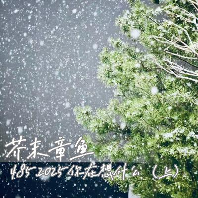 485.2025你在想什么(上) 485.2025你在想什么(上)