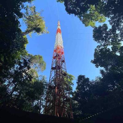 How our planet came to life with Ferris Jabr How our planet came to life with Ferris Jabr