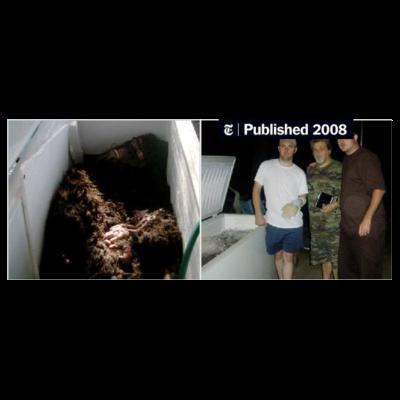 The Dyer consequences of a body of evidence