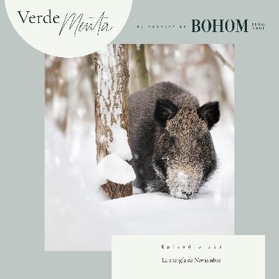 Episodio 222. La energía de Noviembre Episodio 222. La energía de Noviembre