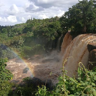 Why, Richie?Why? Why, Richie?Why?