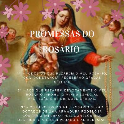 Frases sobre o Santo Terço/Rosário 🌹