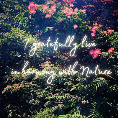 自然との調和と創造力を解放する動く瞑想：I gratefully live in harmony with Nature. July #1