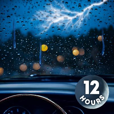 Rainfall on Windshield with Nature Sounds to Sleep | 12 Hours