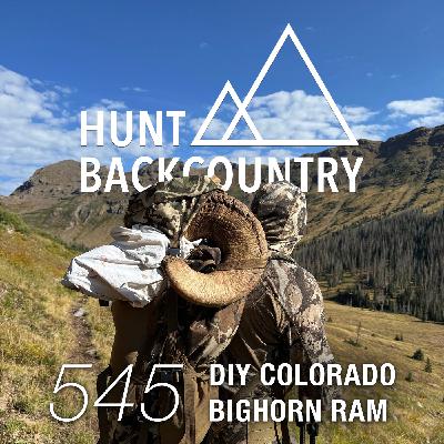 545 | DIY Colorado Bighorn Ram (A Listener Story)