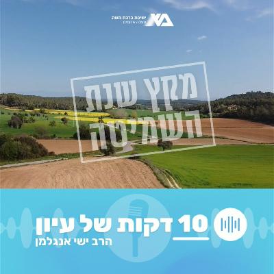 מקץ שנת השמיטה (2) | גוי אחד בארץ!