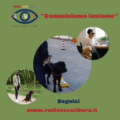 Camminando Insieme - Il cane a tutto tondo