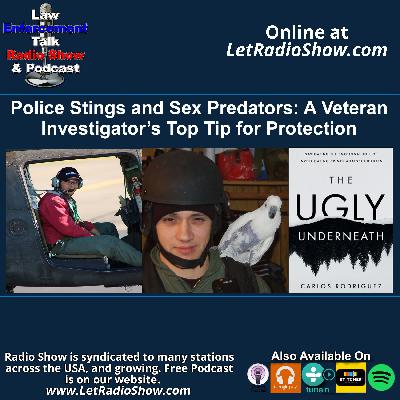 Police Stings and Sex Predators