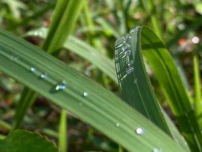 2025.11/10 からだに触れる時間 from Radiotalk