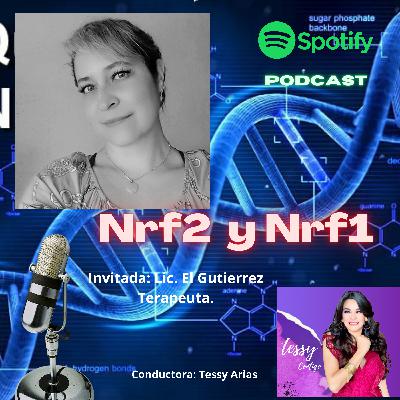 La importancia de la activación celular NRF2 Y NRF1 La importancia de la activación celular NRF2 Y NRF1