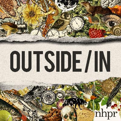 The cold truth about refrigeration - Outside/In