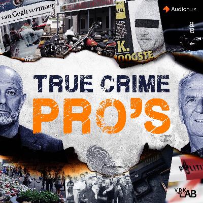 Luistertip: True Crime Pro's