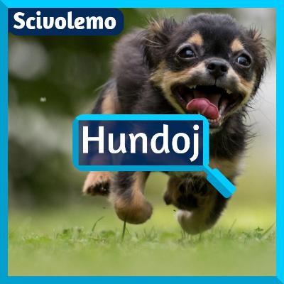 Kiel oni hejmigis hundojn