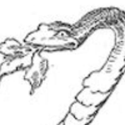 As três folhas da serpente-Autores:Irmãos Grimm