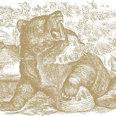 #33 - Bears & Bees