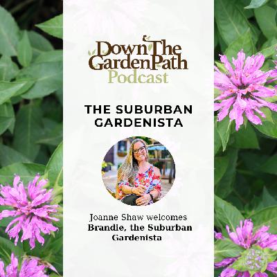 The Suburban Gardenista The Suburban Gardenista