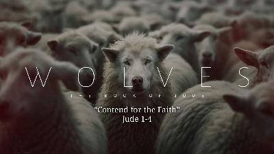 Contend for the Faith - Video Contend for the Faith - Video