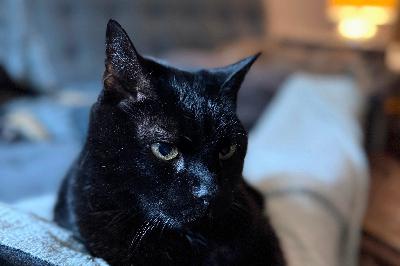 What's going on in electricity world? What's going on in electricity world?