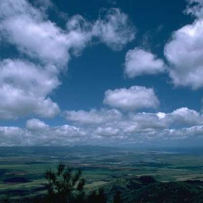תפילת שחרית