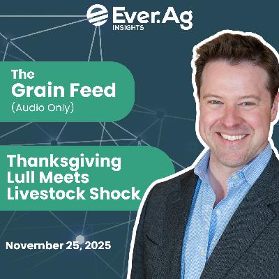 The Grain Feed (Audio Only): Thanksgiving Lull Meets Livestock Shock - November 25, 2025