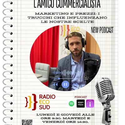 L'amico commercialista 17 puntata
