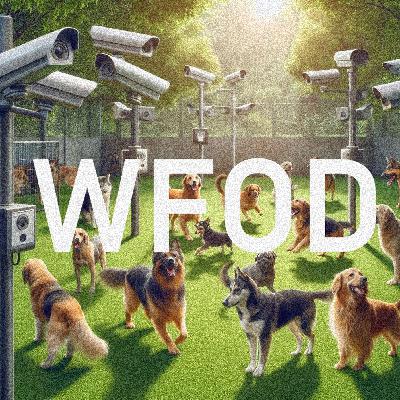 WFOD #755: SEARCH PARTY AND THE FRIEND MACHINE WFOD #755: SEARCH PARTY AND THE FRIEND MACHINE