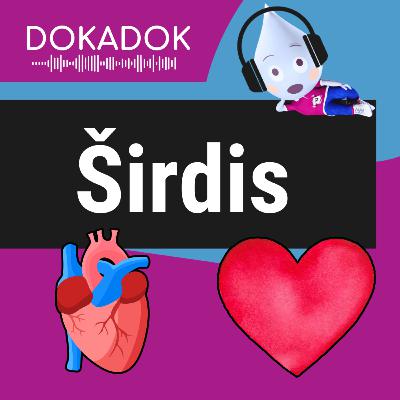 Kodėl plaka širdis? ❤️ Kodėl plaka širdis? ❤️