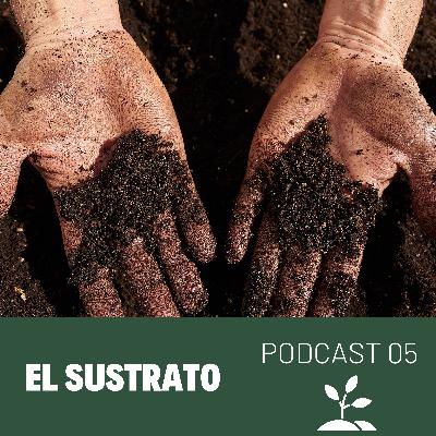 05 Sustrato | Preguntas frecuentes