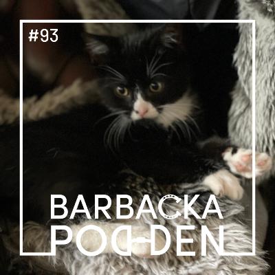 Katten Sotis! Katten Sotis!