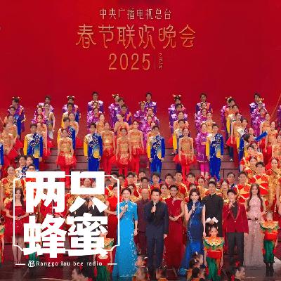 Vol.100 我最喜爱的春节联欢晚会节目小评选