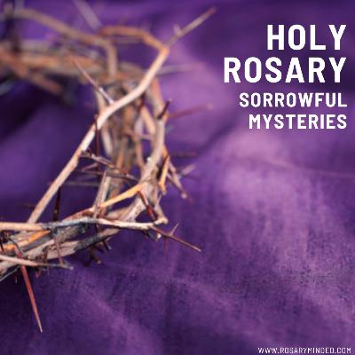 Today's Rosary -- SORROWFUL MYSTERIES Friday (December 6) Today's Rosary -- SORROWFUL MYSTERIES Friday (December 6)