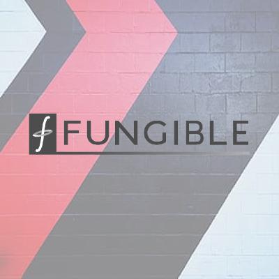 Entretien avec Bertrand Serlet : Co-fondateur @Fungible
