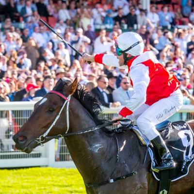 Punter's Preamble - 2025 Winterbottom Stakes Day