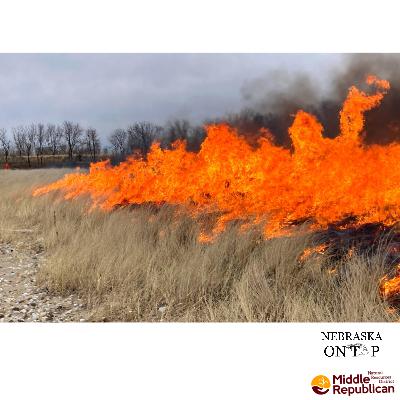 Burn It Down: Prescribed Burns On the Prairie