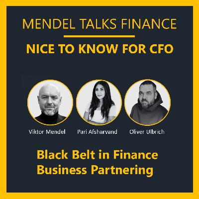 #53 Finance Business Partner auf Black Belt Niveau: Was CFOs wirklich brauchen. #53 Finance Business Partner auf Black Belt Niveau: Was CFOs wirklich brauchen.