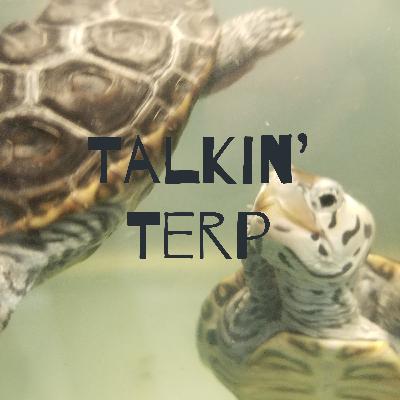 A Student Research Perspective