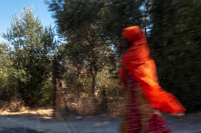 MaryLynne Wrye / Yen Duong - "The Olive Grove" Podcast