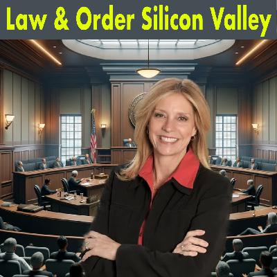 Law  & Order Silicon Valley