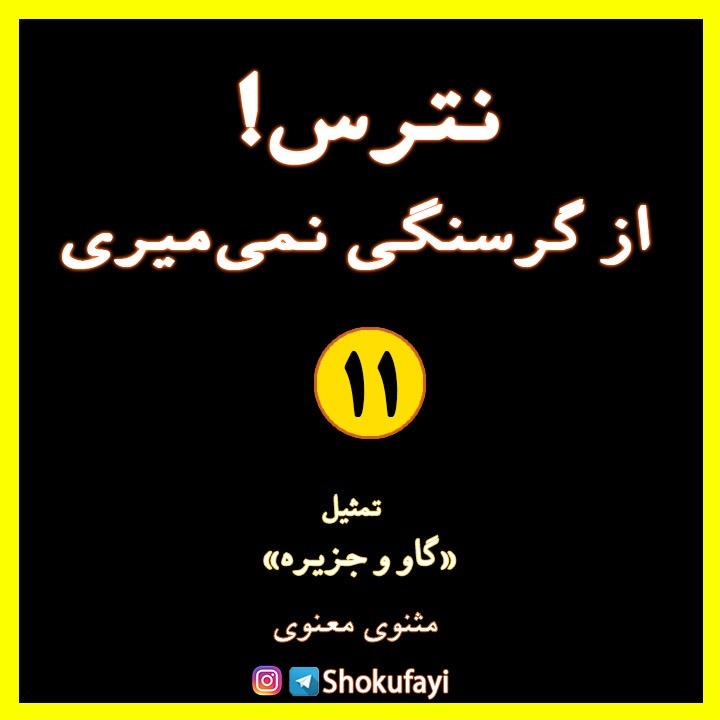 نترس از گرسنگی نمی‌میری