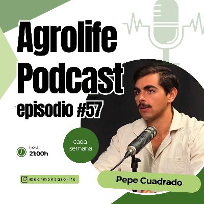No podemos competir con Marruecos: la verdad sobre el aguacate en España | Pepe Cuadrado – Iberian Avocados #57 No podemos competir con Marruecos: la verdad sobre el aguacate en España | Pepe Cuadrado – Iberian Avocados #57