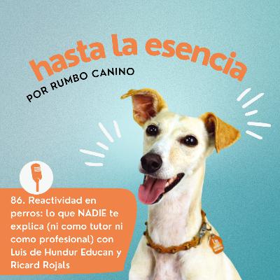 Reactividad en perros: lo que NADIE te explica (ni como tutor ni como profesional)